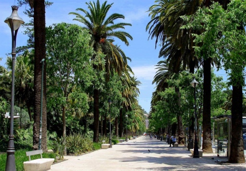 Paseo del Parque