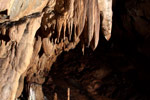 Cueva de Ardales